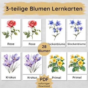 28 cartes d'apprentissage des fleurs à imprimer par les enfants, des cartes illustrées en trois parties pour un apprentissage indépendant des fleurs locales