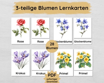 28 Blumen Lernkarten für Kinder zum Ausdrucken, dreiteilige Bildkarten zum selbstständigen Lernen heimischer Blumen