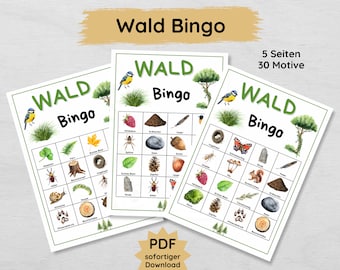 Forest Bingo for children to print out, forest bingo printable, forest walk game idea