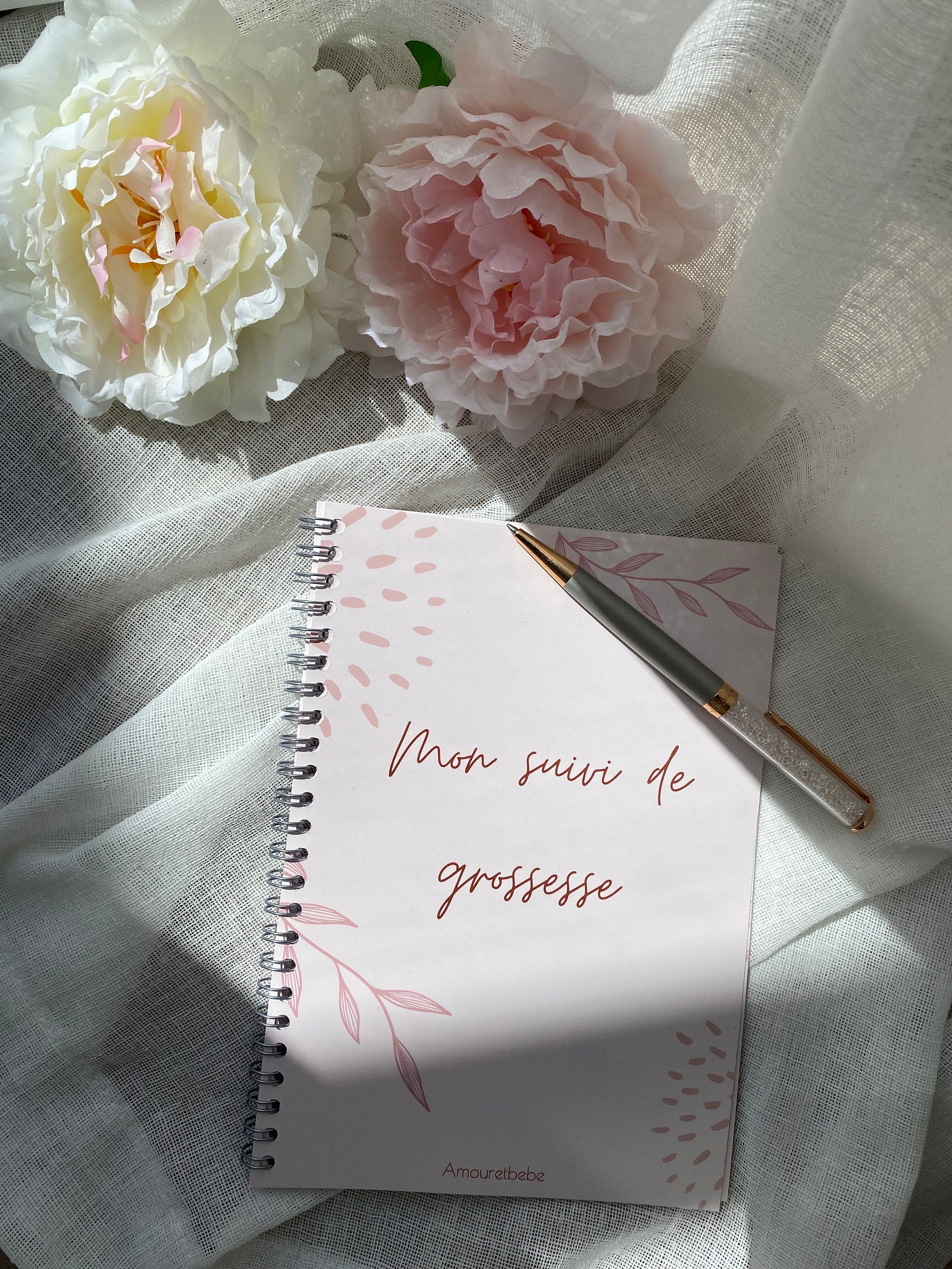 Journal de grossesse -  France