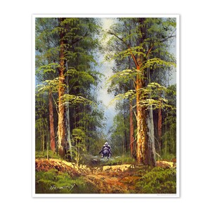 Gleiter auf Sanctuary Moon - DIGITALER DOWNLOAD nach veränderter Kunst von Heather Castles