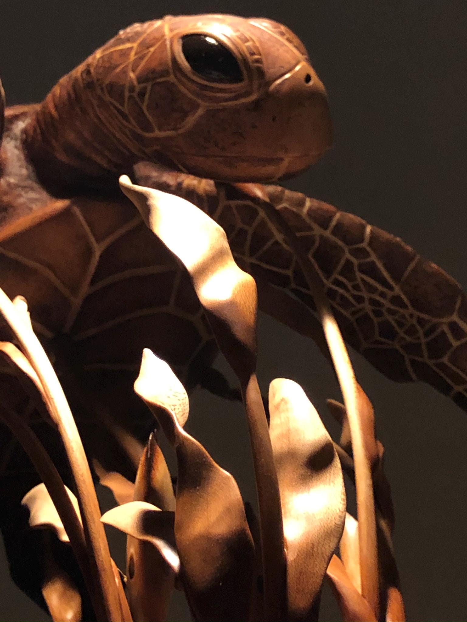 Carved Wood Honu Sea Turtle Display. Custom Carvings by the Puna Carver ...
