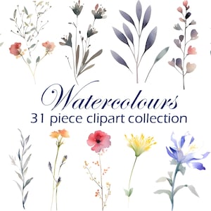 Flowers PNG, Watercolor Flower Clipart, Transparent background, Instant Download, Digital Png