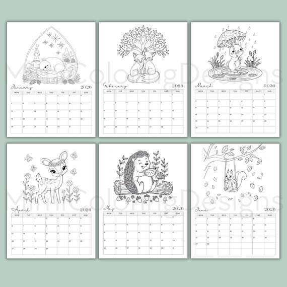 Calendrier Aquarelle 2026 à Colorier - Planificateur Mensuel Animaux - Format A5 (21x14.8cm) - Idée Cadeau Relaxation