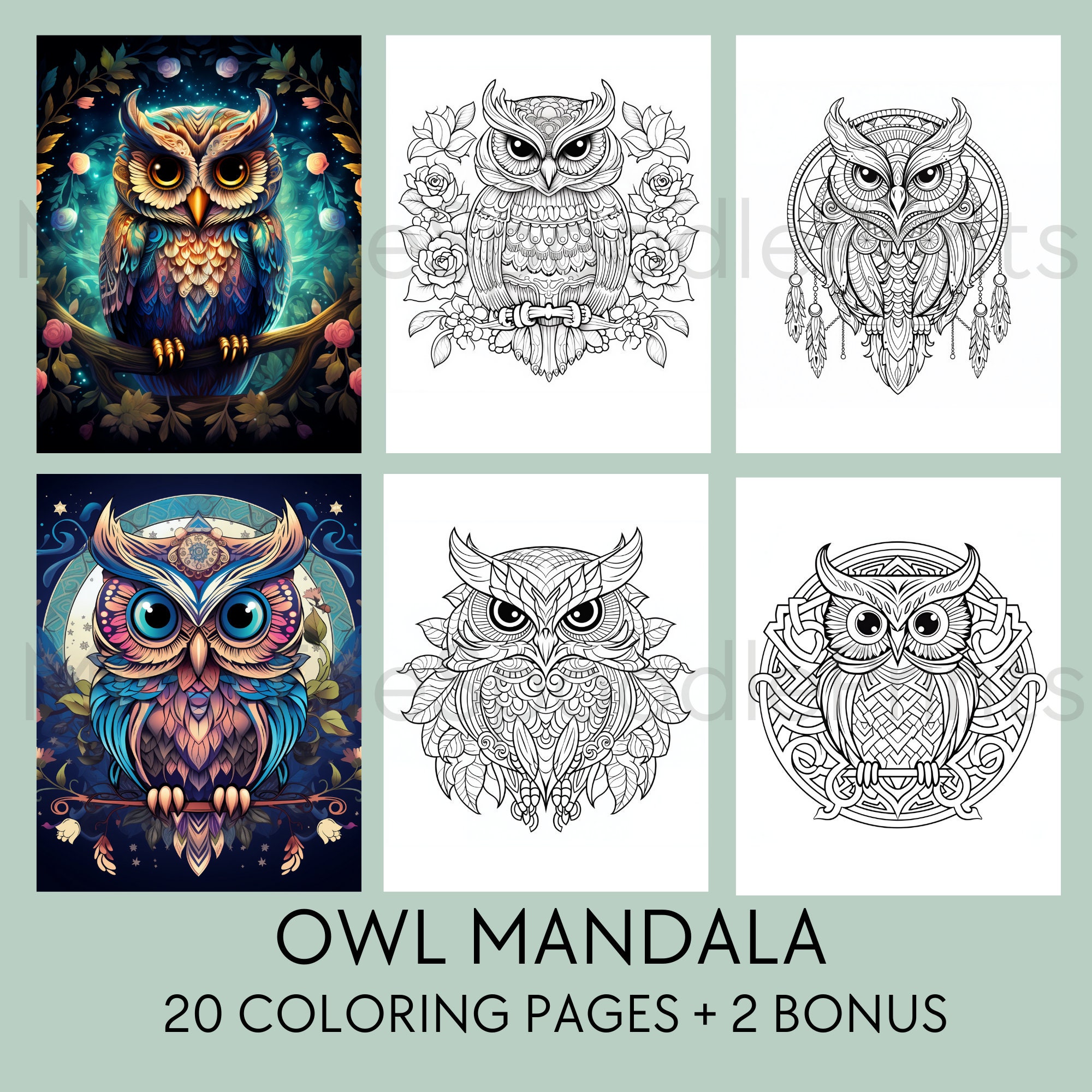 20 Owl Coloring Pages, for Owl Lover, Printable Coloring Book, Owl