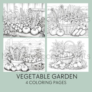 Vegetable Garden Coloring Pages for Adults, Printable Coloring Book, Garden Coloring, Digital Download