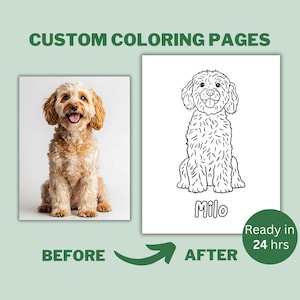 May include: A before and after image showing a custom colouring page of a dog. The original image shows a brown and white dog sitting. The colouring page shows a black and white line drawing of the dog with the name "Milo" written below. The text "Ready in 24 hrs" is in the bottom right corner.