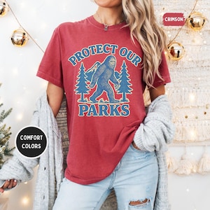 Vintage Protect our Parks Comfort Colors T-shirt, Outdoor Nature Lover Tee, Retro Environmentalist Shirt, Earth Day Gift, Unisex Tie Dye
