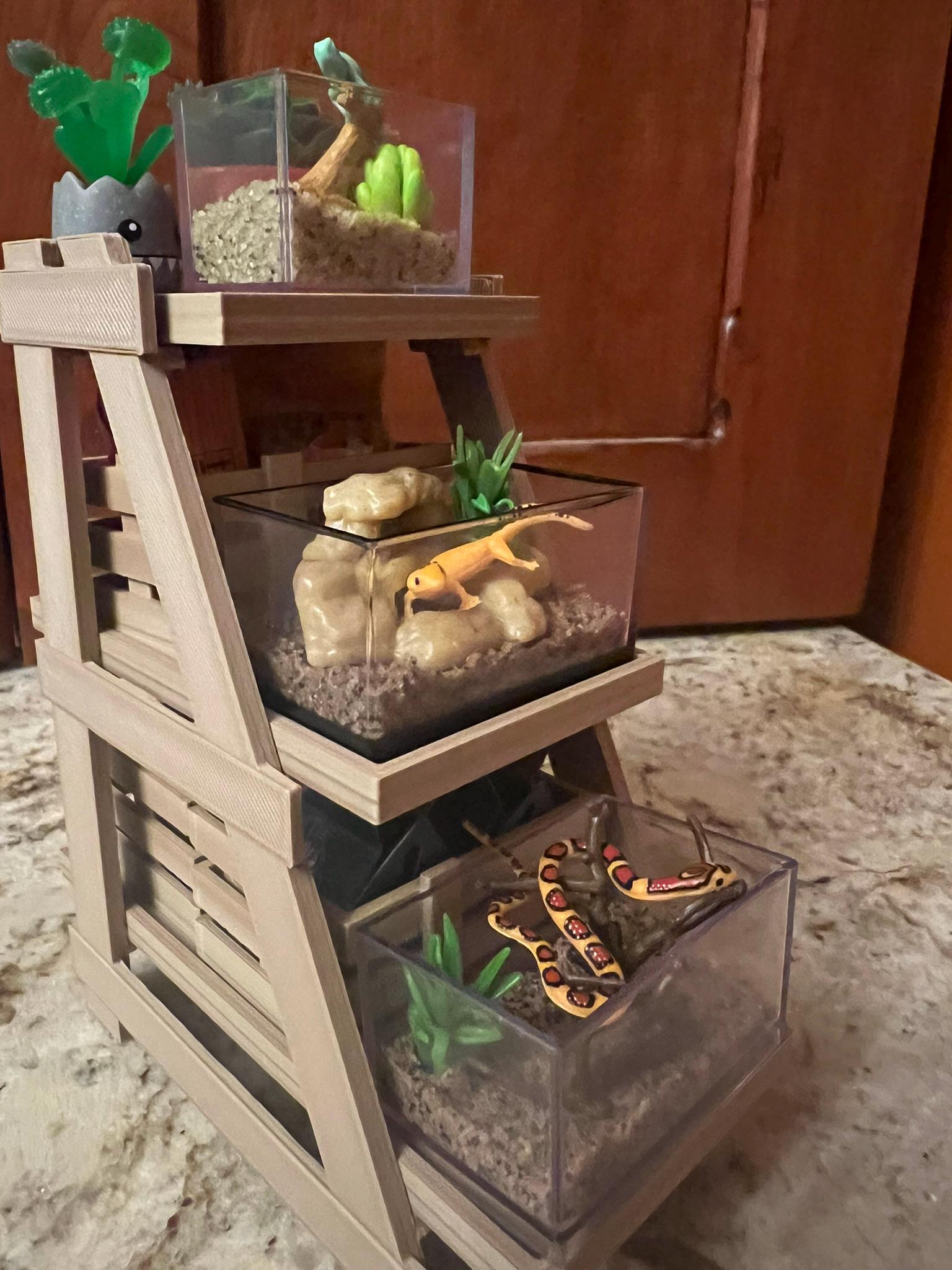 Miniature Animal Display Shelves, 1:6 Scale Dual-tone Wood PLA, 3 ...
