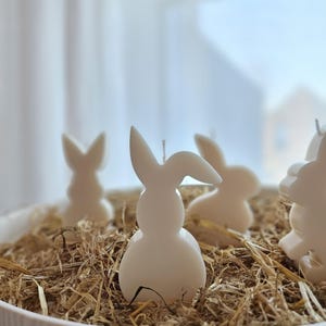 Easter Bunny