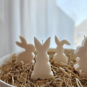 Easter Bunny