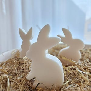 Easter Bunny