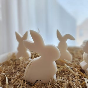 Easter Bunny