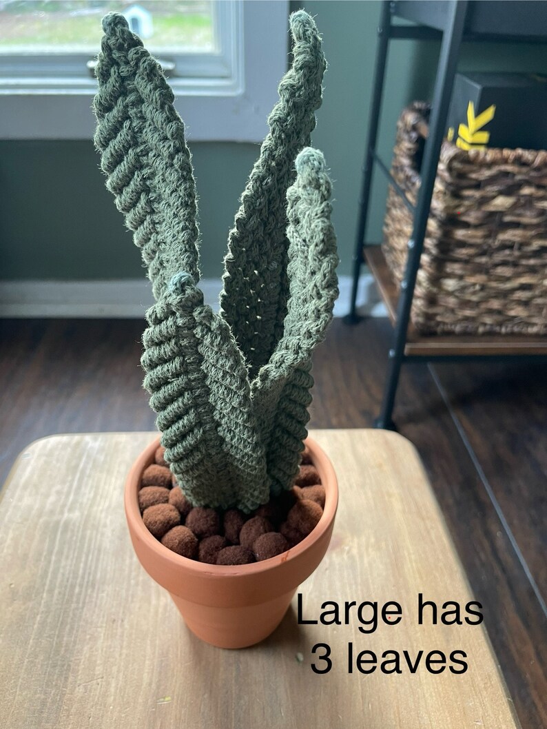 Macrame Snake Plants| 3 Sizes - Etsy
