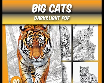 Wild Feline Fun: 40 Adult & Kids Big Cats Coloring Pages Bundle, Big cats coloring sheets, printable coloring pages PDF