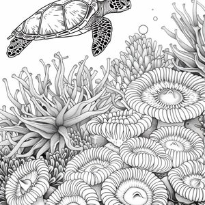 Op de afbeelding: Een zwart-witte illustratie van een zeeschildpad die over een koraalrif zwemt. Het koraalrif bestaat uit verschillende soorten koraal, waaronder hersenkoraal, gewei-koraal en paddenstoel-koraal.