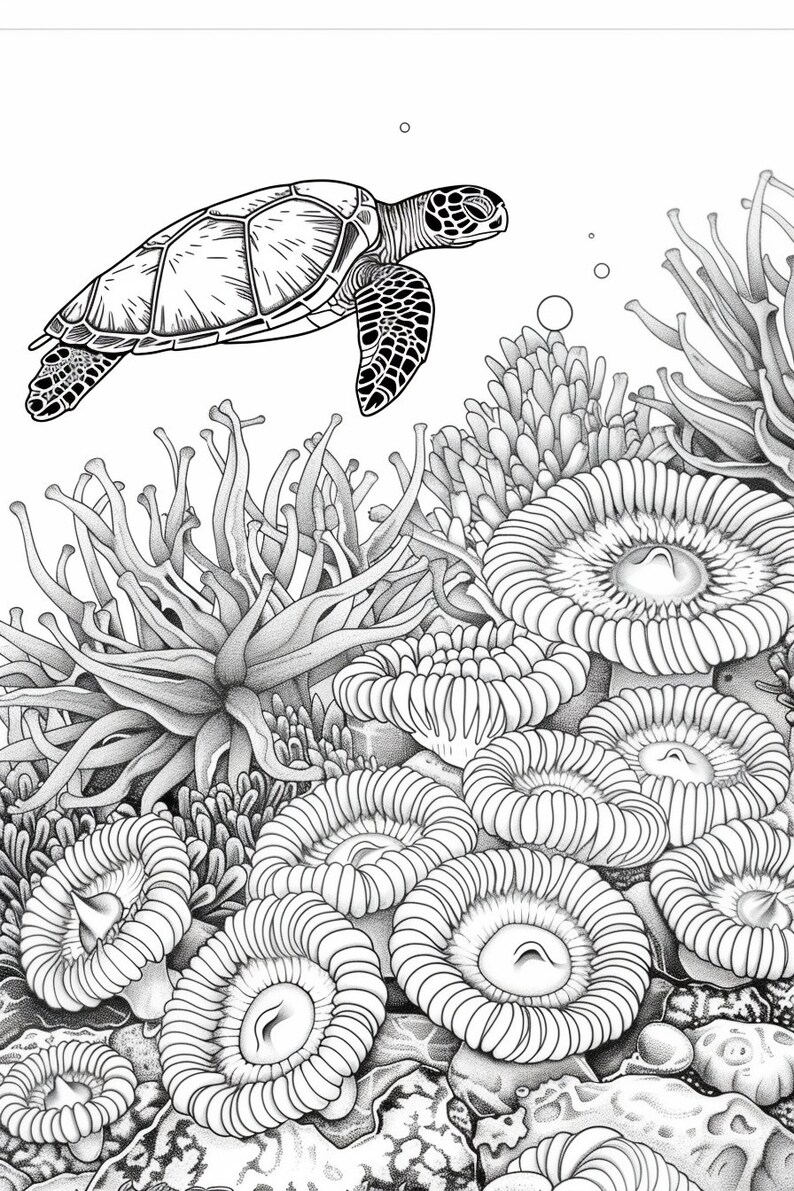 Op de afbeelding: Een zwart-witte illustratie van een zeeschildpad die over een koraalrif zwemt. Het koraalrif bestaat uit verschillende soorten koraal, waaronder hersenkoraal, gewei-koraal en paddenstoel-koraal.