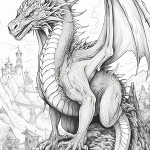 May include: A detailed black and white pencil drawing of a dragon perched on a rocky cliff overlooking a medieval castle. The dragon has sharp claws, a long tail, and large wings.