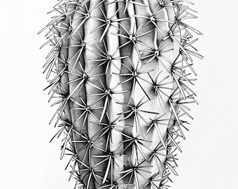 35 Succulents Coloring Pages,  Cactus Coloring Pages, Floral Grayscale Coloring Book,Succulents Coloring book