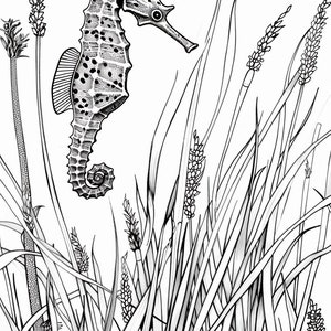 Op de afbeelding: Een zwart-witte lijntekening van een zeepaardje dat zwemt in een bed van hoog gras.