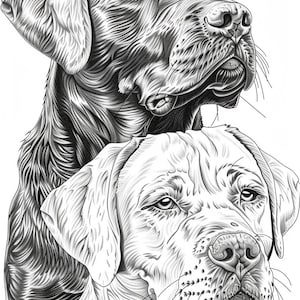 45 Cute Dogs Coloring Pages, Animals Coloring Sheets, Dog Grayscale Coloring Book For Kids And Adults , Instant Download, Pets Coloring Book