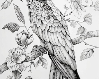 35 Beautiful Birds Coloring Pages, Parrot Coloring Pages, Digital Prints Coloring book,Animal Coloring Sheets