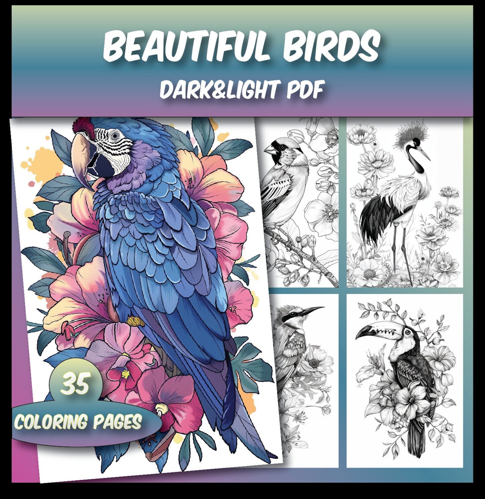 35 Beautiful Birds Coloring Pages, Parrot Coloring Pages, Digital ...