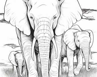 May include: A black and white line drawing of three elephants walking through tall grass. The elephants are drawn in a realistic style, with detailed features such as their wrinkled skin and tusks. The largest elephant is in the foreground, with its trunk raised and its eyes looking directly at the viewer. The two smaller elephants are behind the larger elephant, walking in single file.