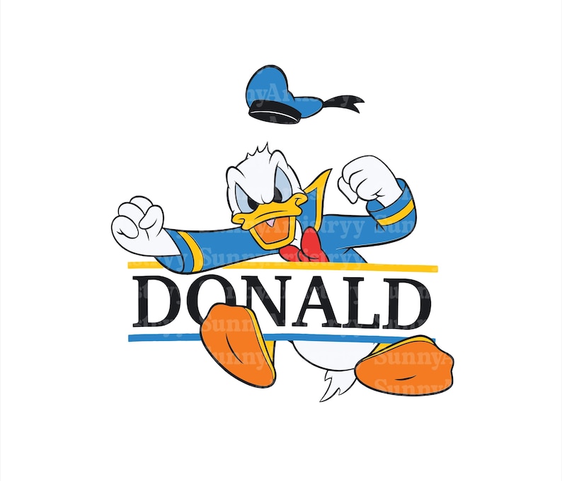 Duck Png, Cute Duck, Mickey and Friends Svg, Donald Png, Family ...