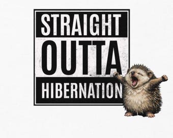 Hedgehog T-Shirt : Funny Straight Outta Hibernation Tee
