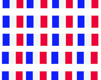 Bandera de France, Dia Internacional, Pegatinas o calcomanias para la escuela