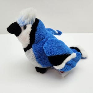 May include: A plush blue jay bird with a white chest and head, black accents, and a black beak. The stuffed animal has a fluffy texture and is positioned on a white surface.