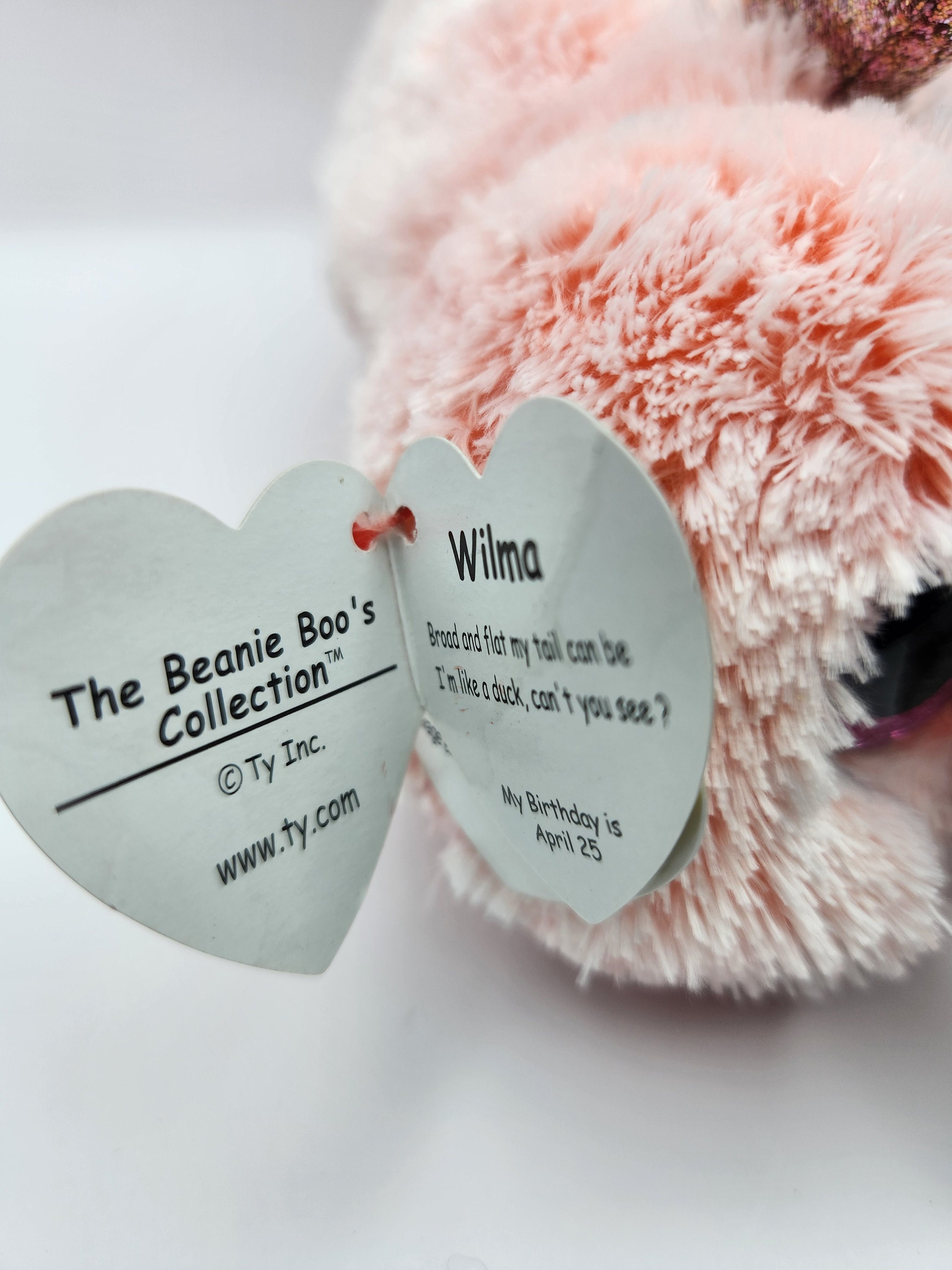 Wilma platypus best sale beanie boo