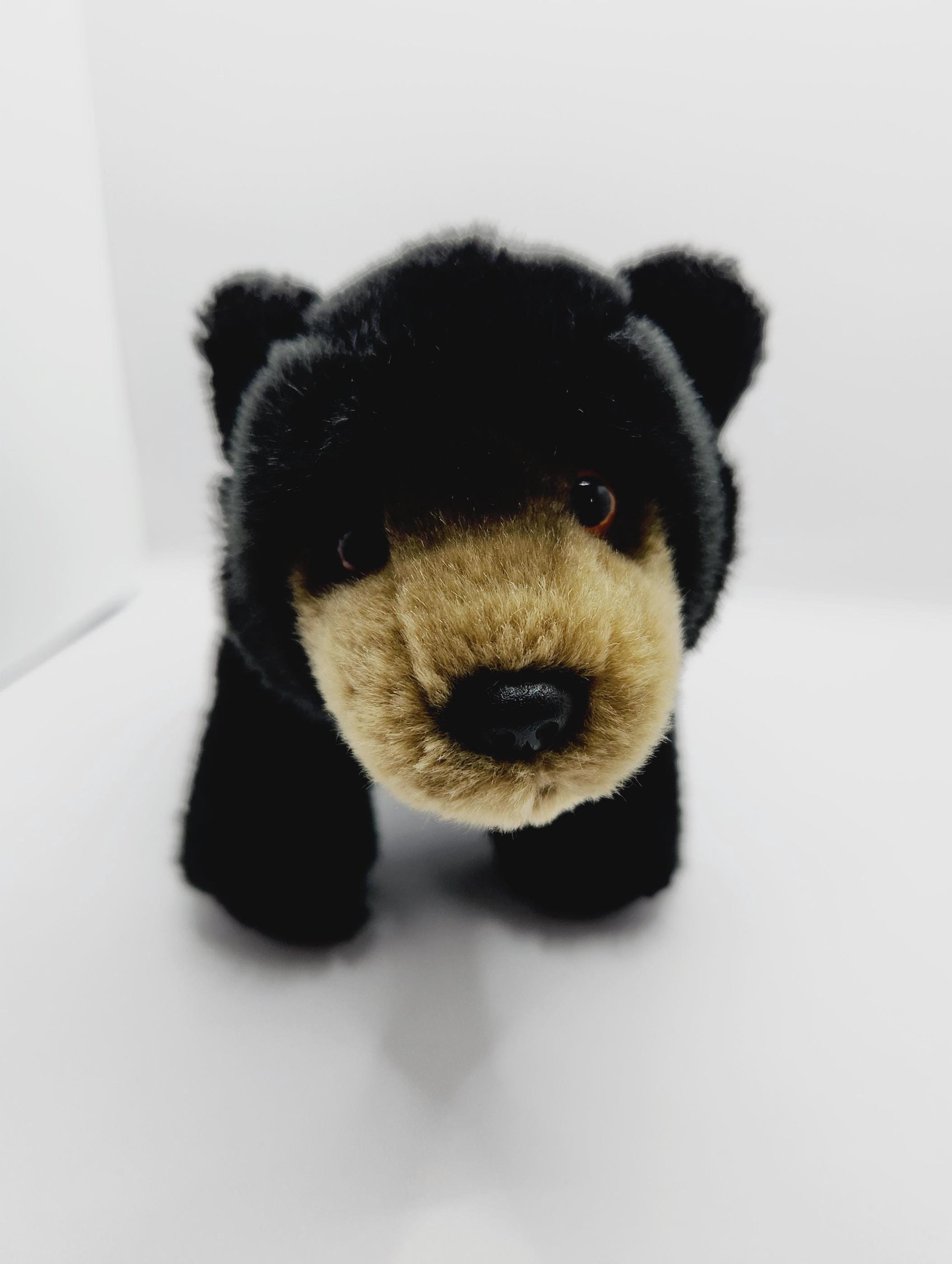 GANZ Webkinz ~ Signature Black Bear (10 Inch) - No Code *rare* - Etsy