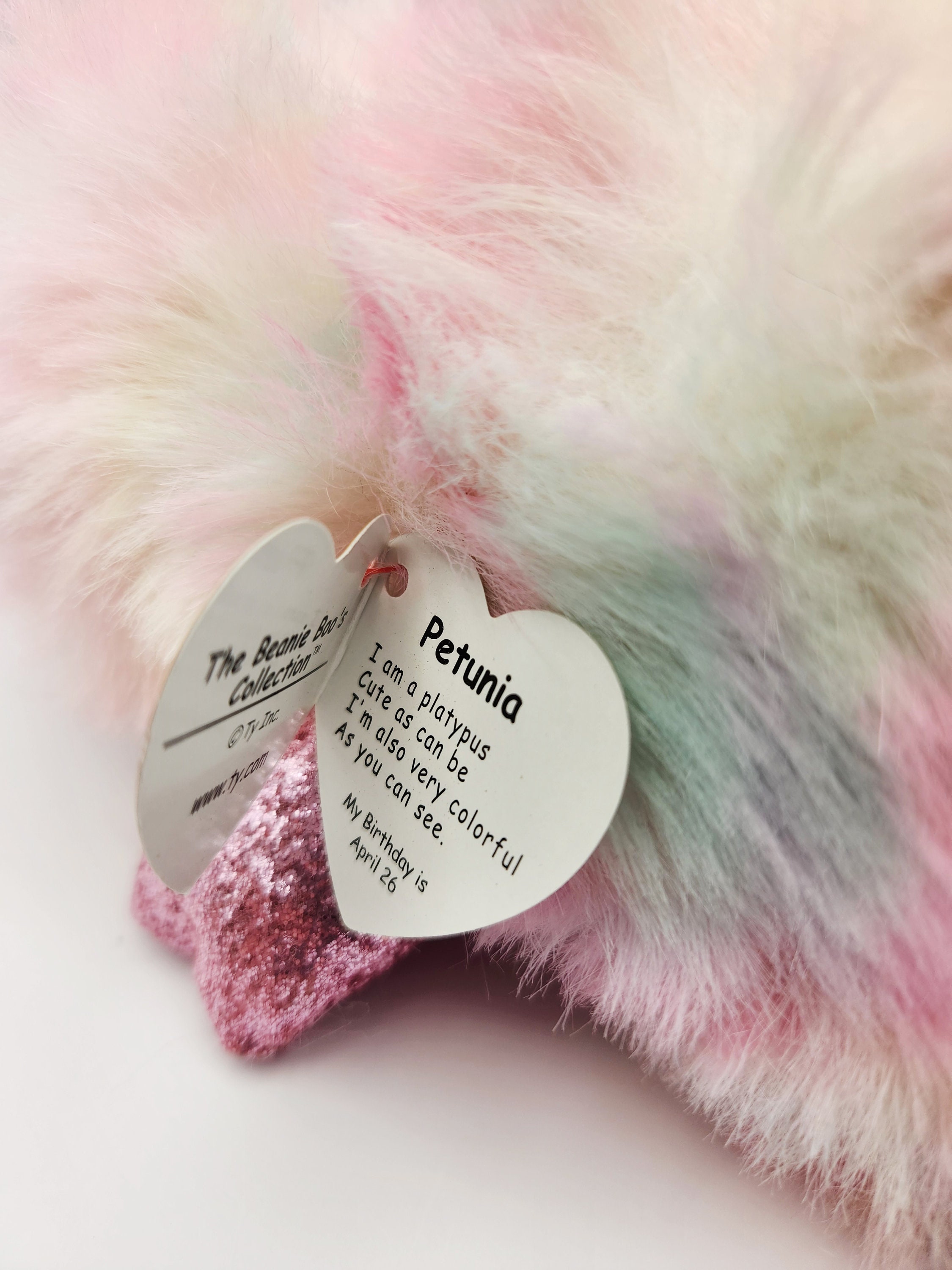 Petunia platypus 2024 beanie boo