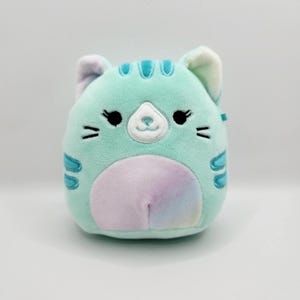 Vintage  Squishmallow &quot;Corinna&quot; the Teal Cat Plush (5 inch)