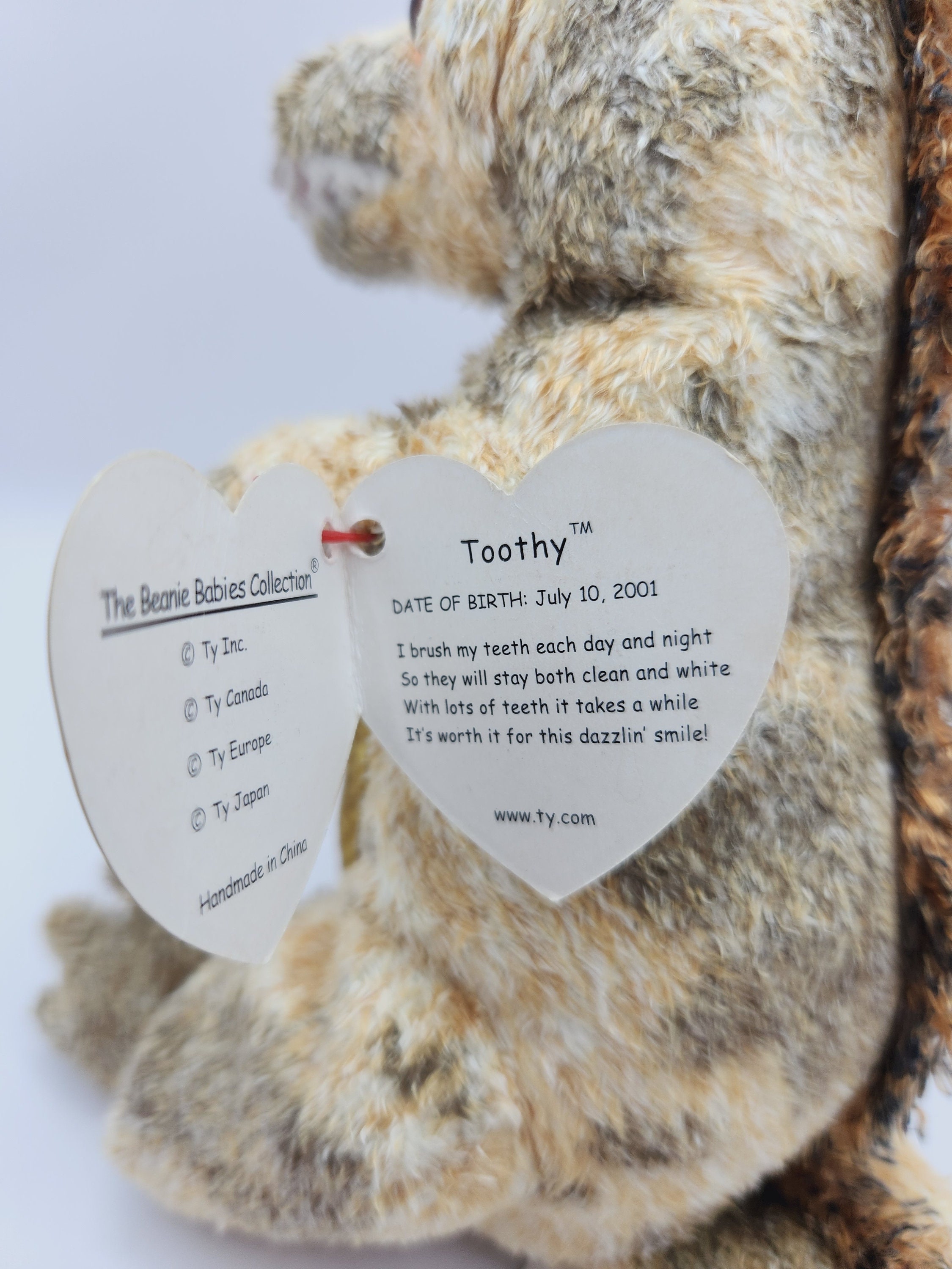 ヘイニリータフフタ TITI-TYY 3個体セット 美品 Ty Beanie Baby 'toothy' the Tyrannosaurus Dinosaur (7 Inch) - Etsy