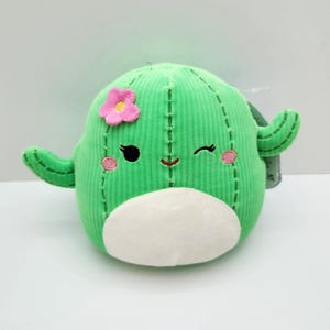 Squishmallows Cactus - Etsy