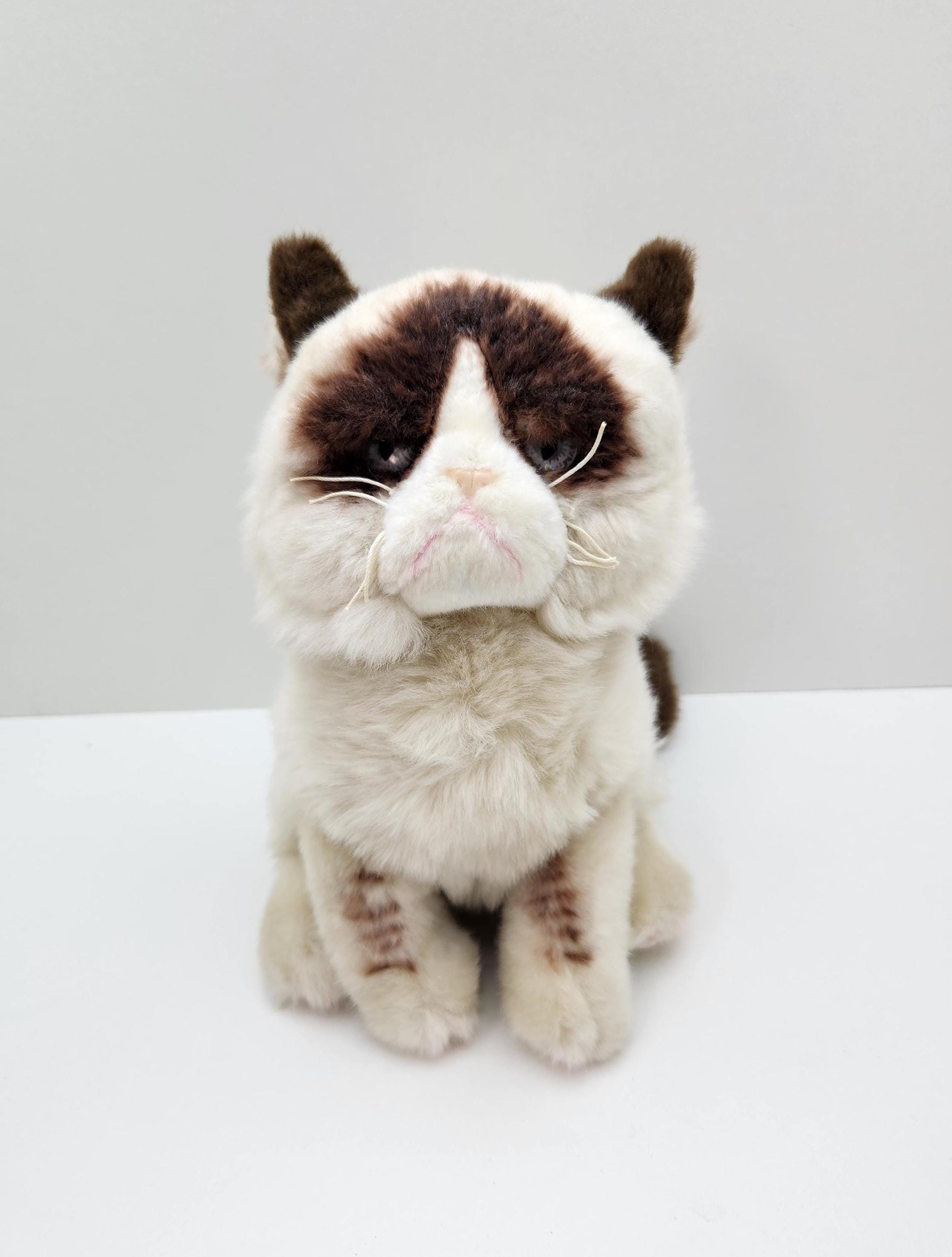 How to Make a Grumpy Cat Plush Toy: Easy DIY Guide for Fans