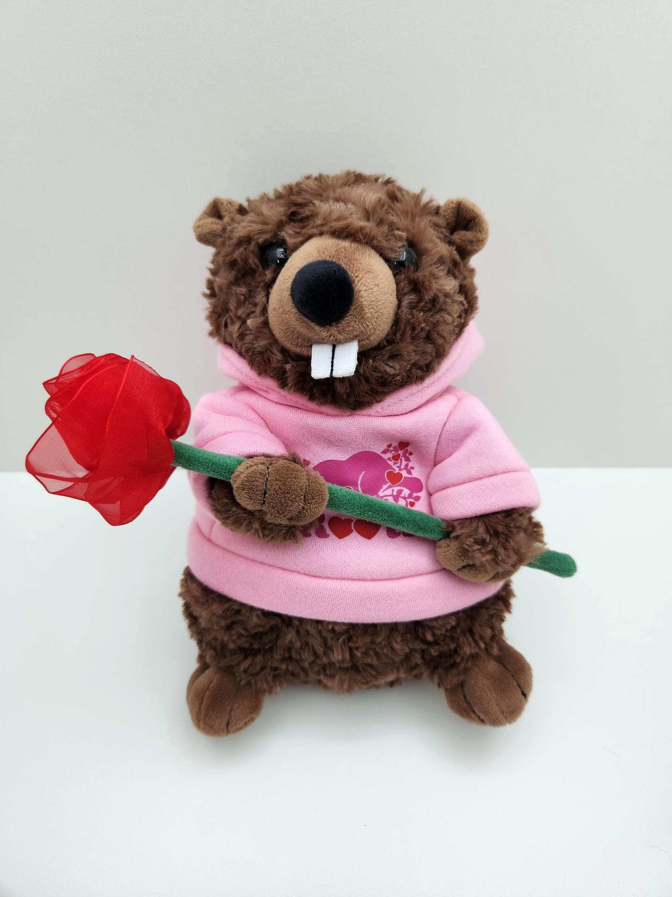 Vintage ROOTS Love Beaver Plush (10 Inch) *rare* - Etsy