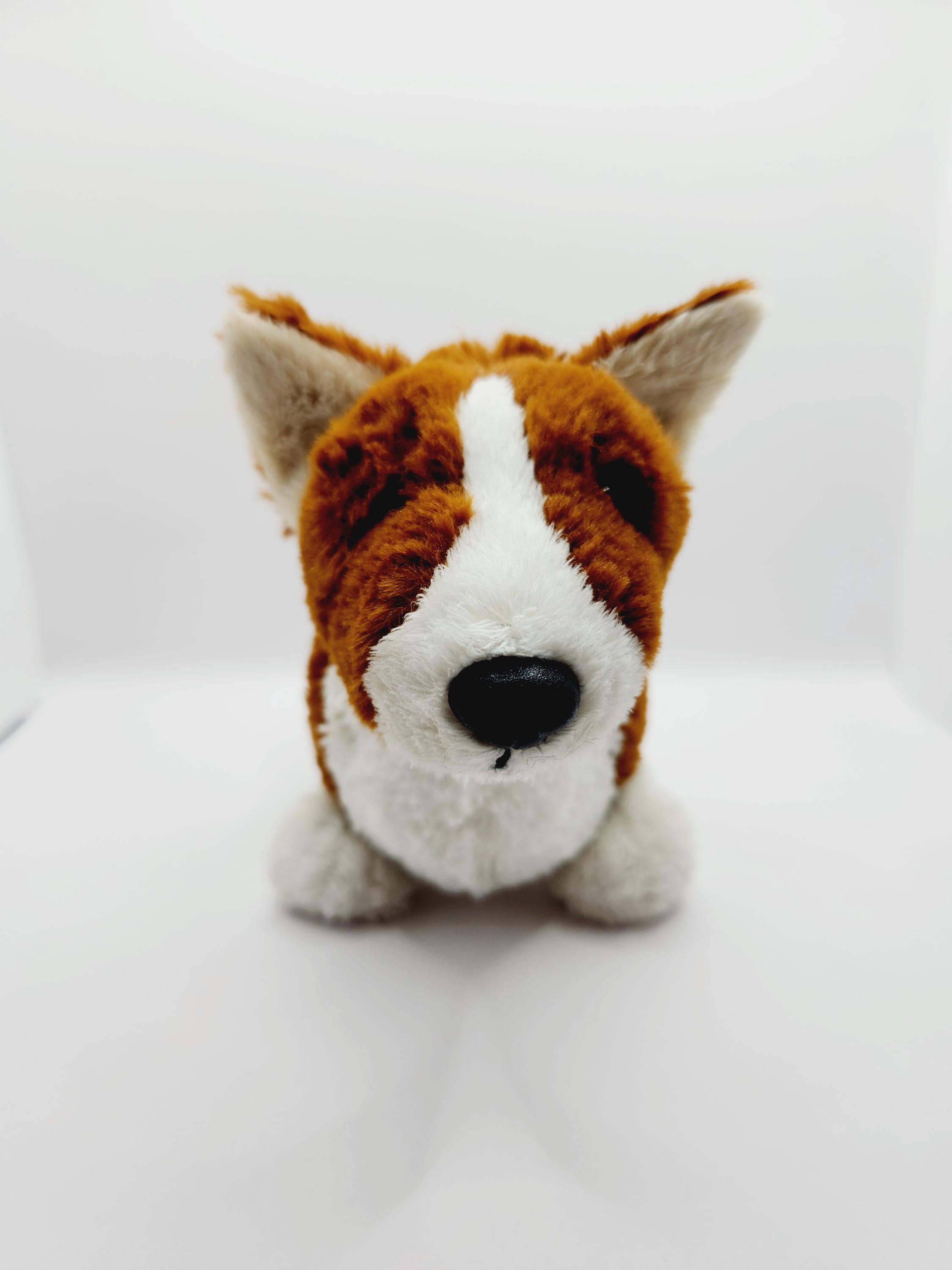 GANZ Webkinz ~ Welsh Corgi Dog (10 Inch) -- No Code - Etsy