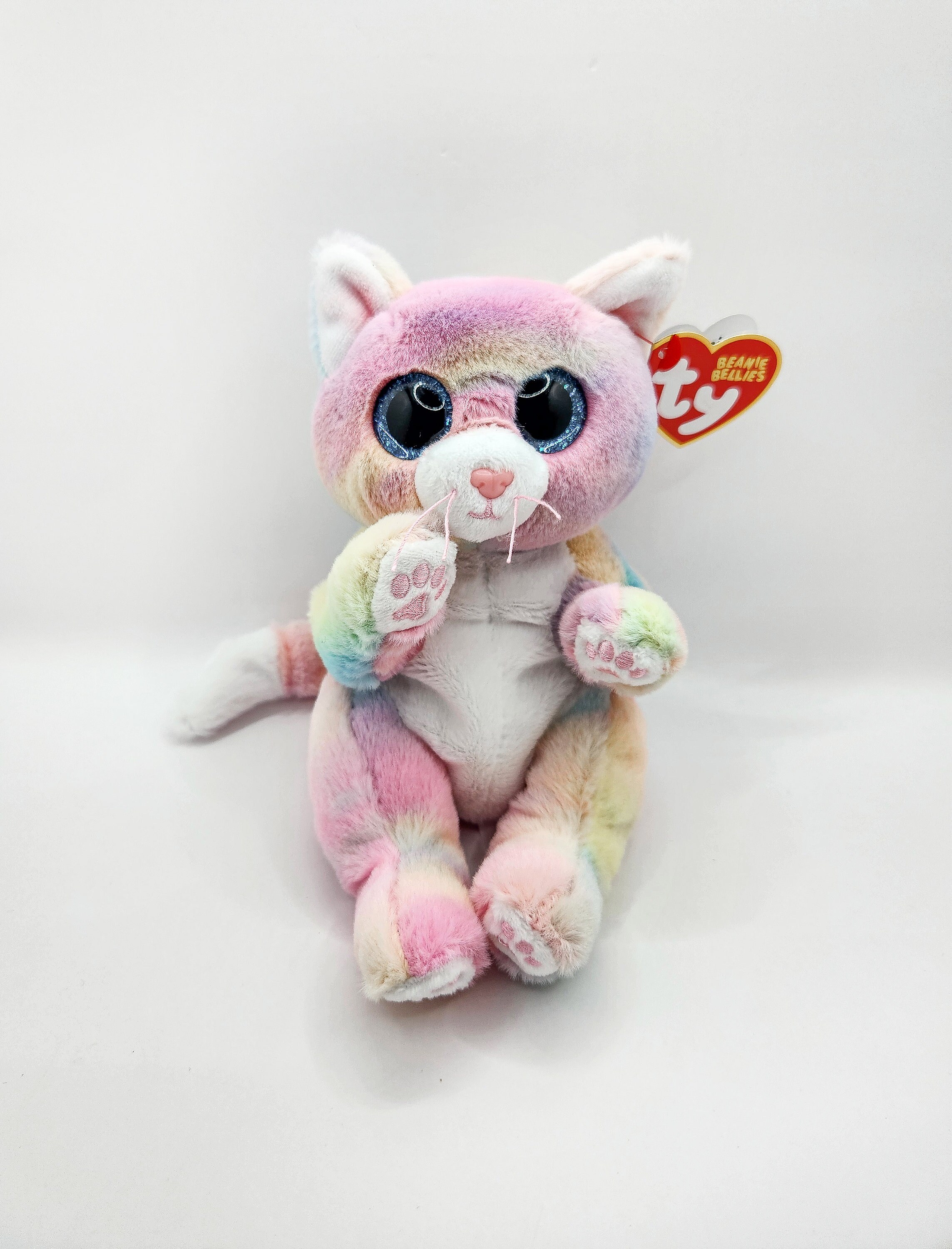 Vintage Ty Beanie Bellies Collection Jenni the Rainbow Cat 6 inch