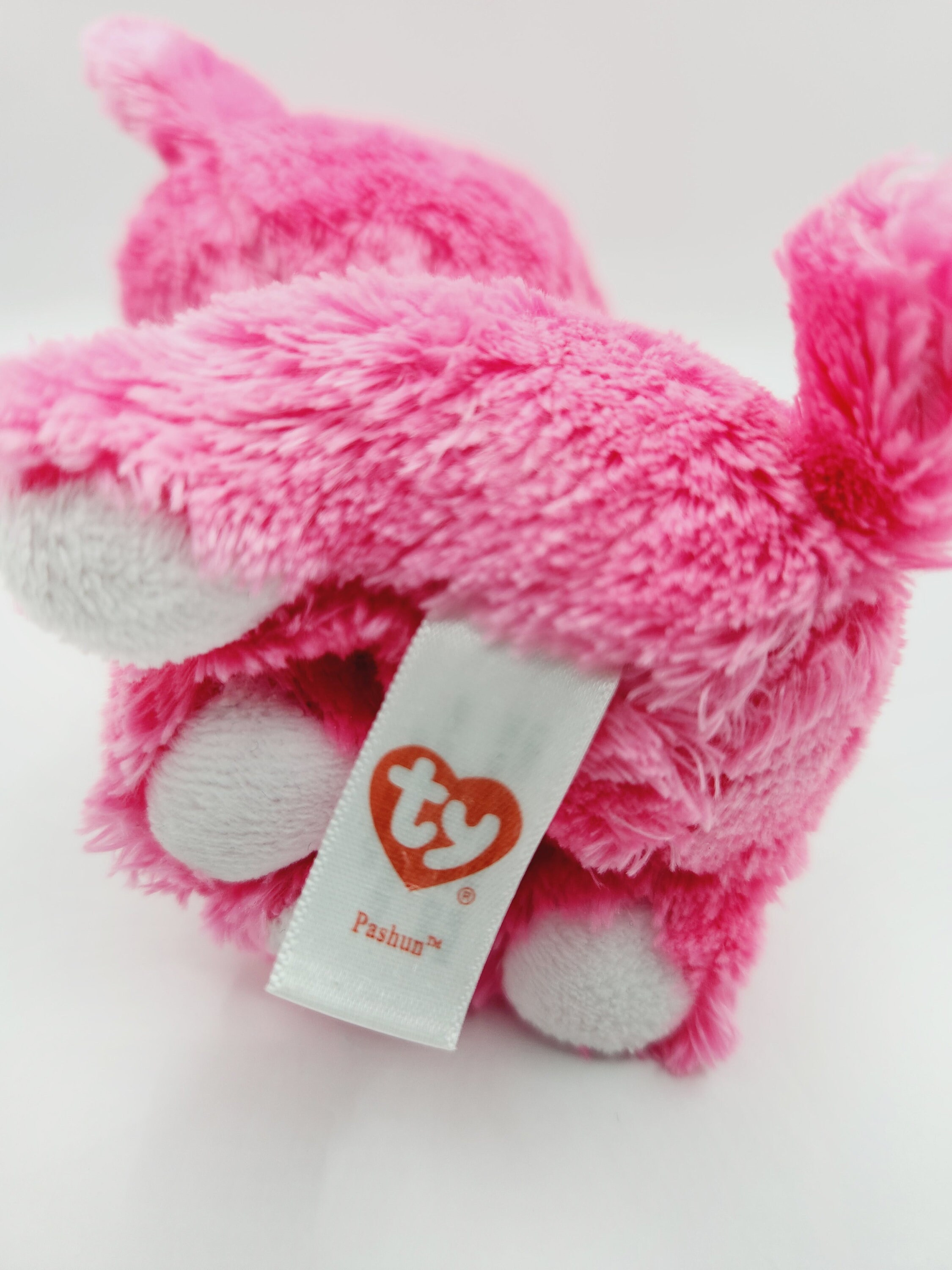 Pashun hotsell beanie boo