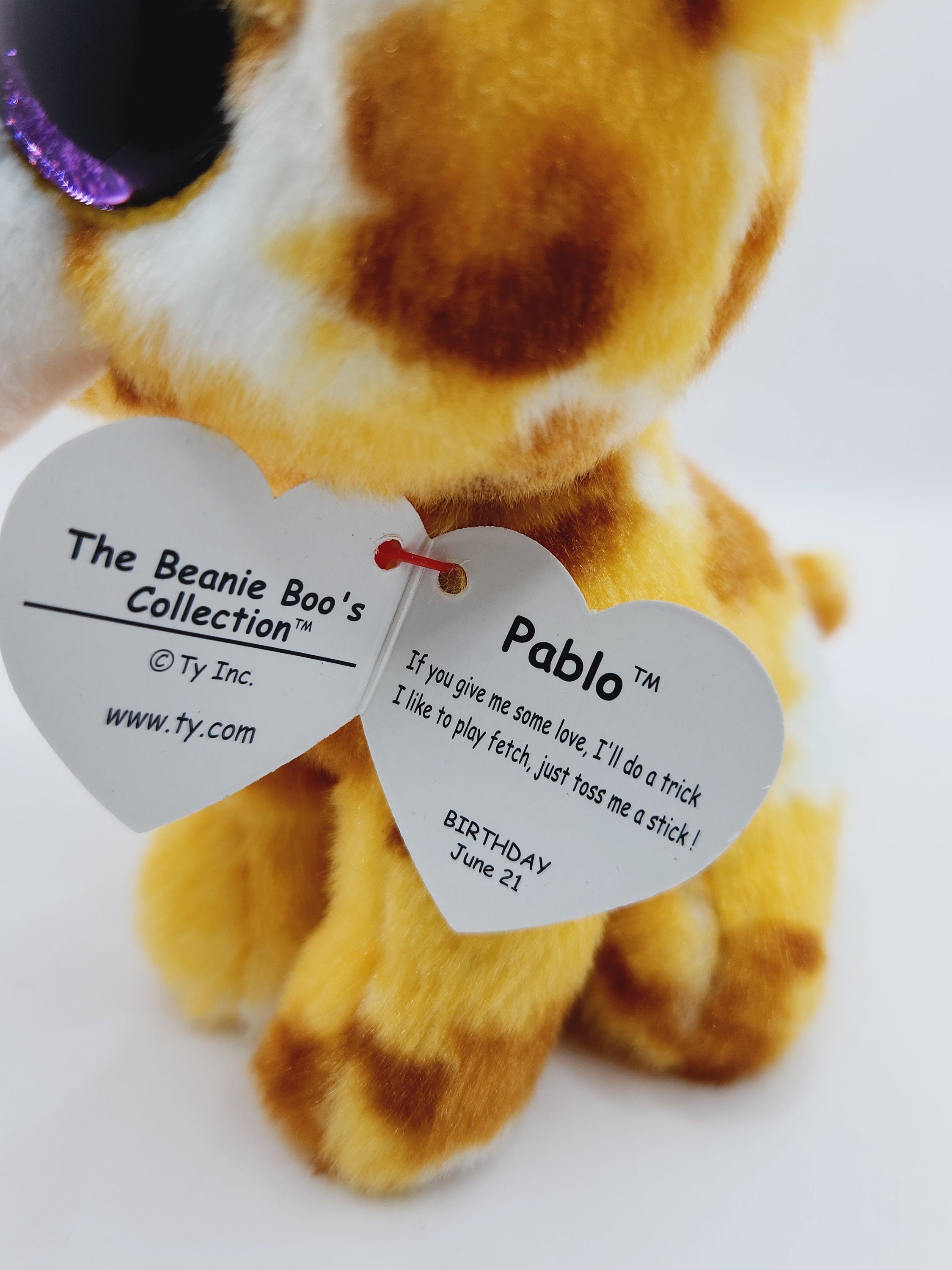 Pablo beanie boo birthday hotsell