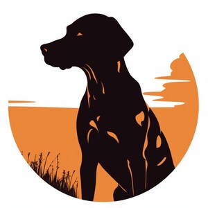 May include: Silhouette of a black dog sitting in a field with an orange sunset in the background.