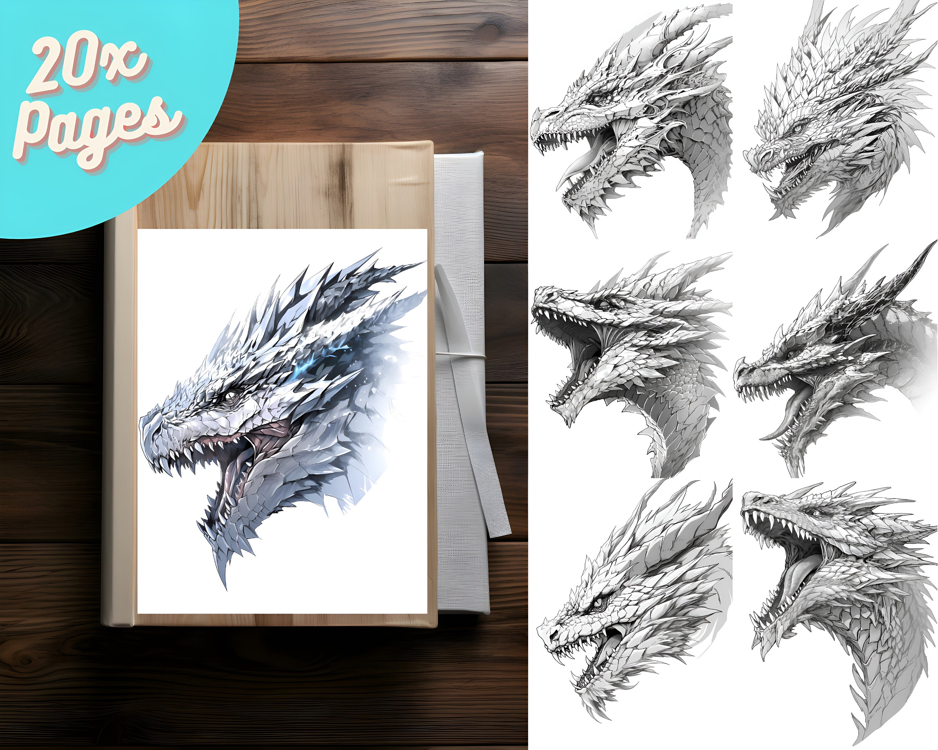 drawings of dragons realistic