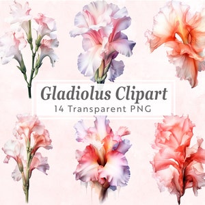 Gladiolus Birthflower Clipart - 14 PNG Bundle - August Birth Flower - Watercolor Floral Art for Crafts, Invitations, Scrapbooking