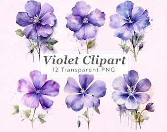 Violet Birthflower Clipart – February Watercolor Floral PNG Set