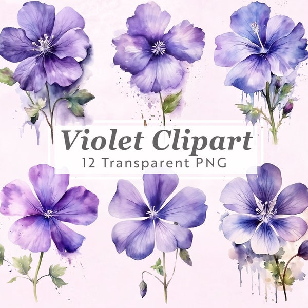 12 PNG Violet Birthflower Clipart Bundle, Showcasing February Birth Flower Clip Art and Sublimation Digital Files, Botanic, Floral Design