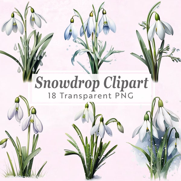 18 PNG Snowdrop Birthflower Clipart Bundle, Showcasing Birth Month Flower Clip Art and Sublimation Digital Files, Birth Flower, Snowdrop Art